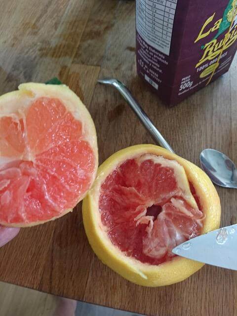 Grapefruit cutted 