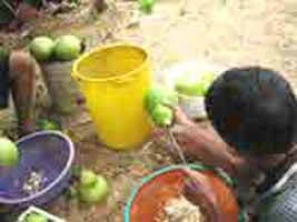 man working on a mate gourd