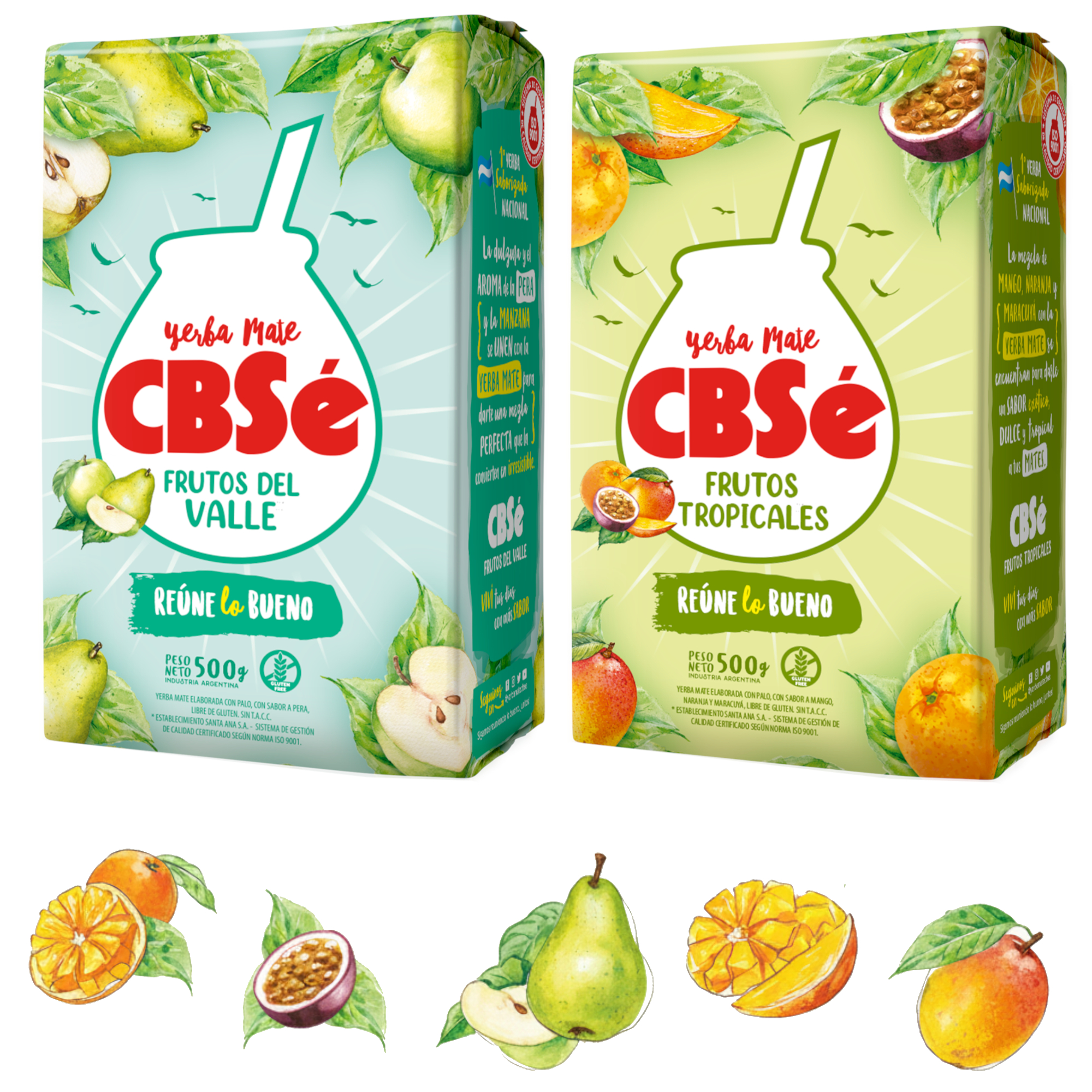 Yerba Mate CBSe Flavour Combo - Tropical & Valley Fruits (2 x 500g)