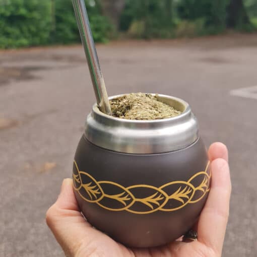 Small Stainless Steel Thermal Yerba Mate Set