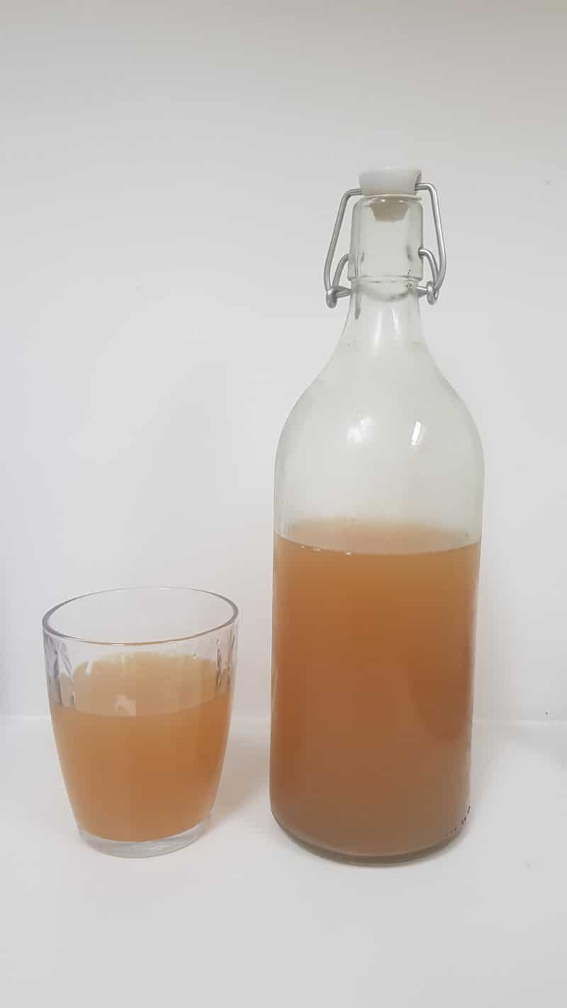 yerba mate kombucha, enjoy chilled!