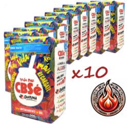 bulk buy yerba mate energy